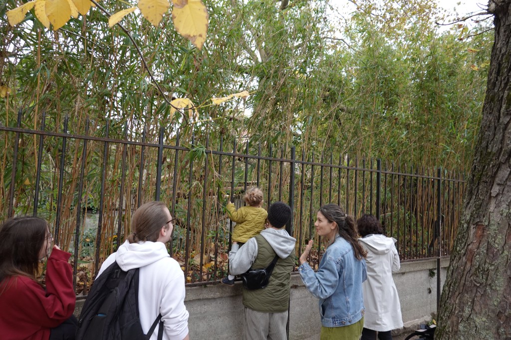 Photo series: Toussaint