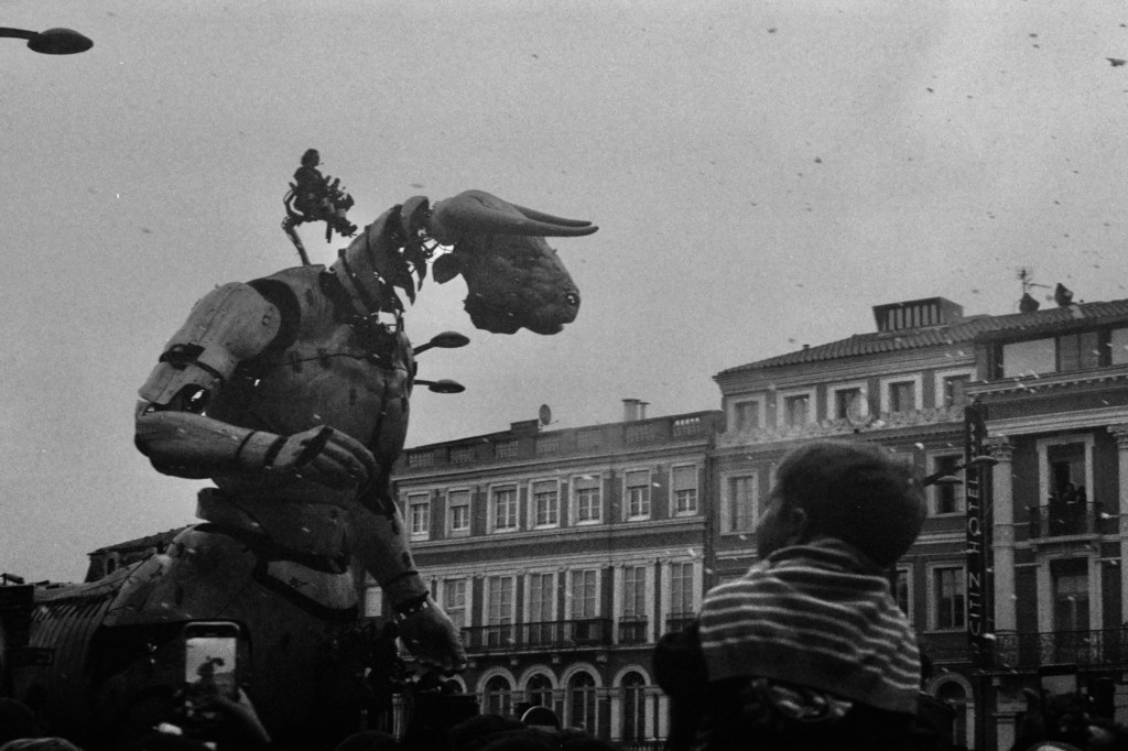 Photo series: Périgueux and Toulouse, November&nbsp;2024