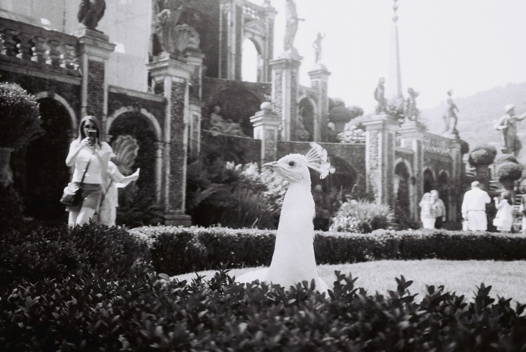 Photo series: July 3,&nbsp;2025