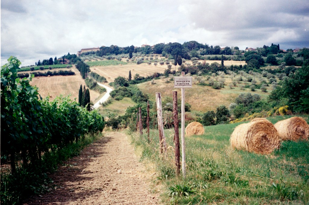 Photo series: mid-June and early July,&nbsp;2025