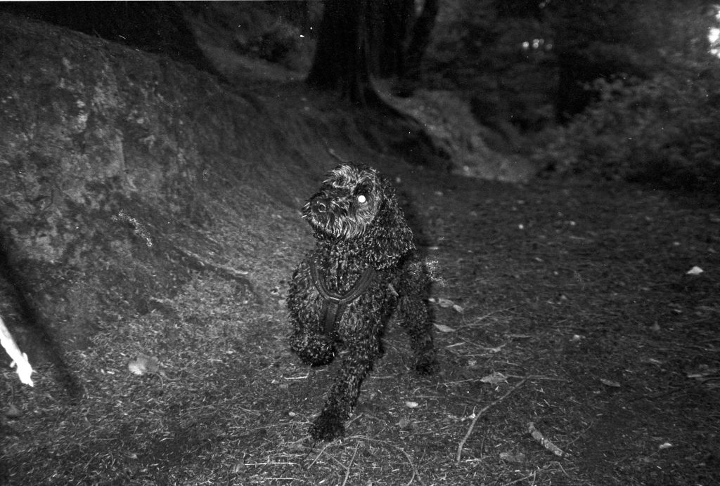 Photo Series: late August and September,&nbsp;2025