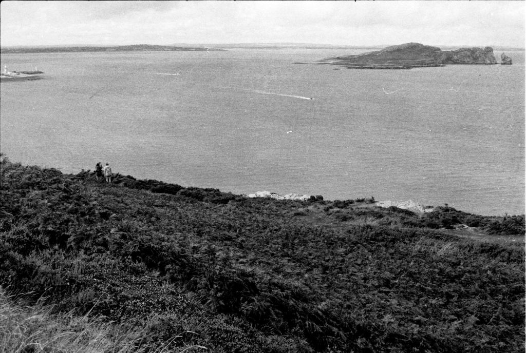 Gardening and Neighborliness in&nbsp;Howth